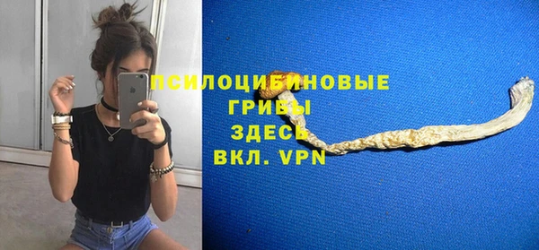 прущая мука Балахна