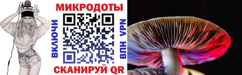 Галлюциногенные грибы MAGIC MUSHROOMS  blacksprut онион  Торопец 